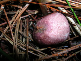 DSCN4297.JPG