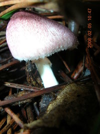 DSCN4298.JPG