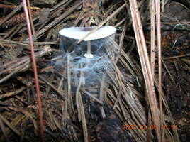 DSCN4303.JPG