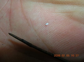 DSCN4292.JPG