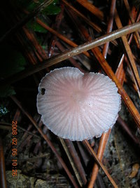 DSCN4283.JPG