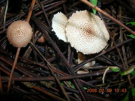 DSCN4347.JPG