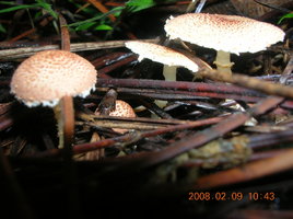DSCN4348.JPG