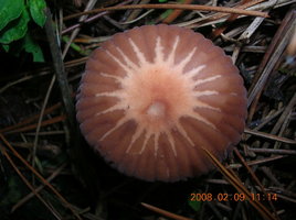 DSCN4365.JPG