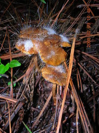DSCN4351.JPG