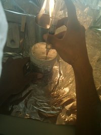 IMAG0051.JPG IMAG0051.JPG