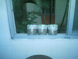 IMAG0109.JPG