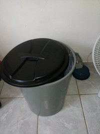ns-p30.jpg