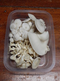 cesto-po30.jpg