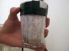 p0-viniciusc04.jpg