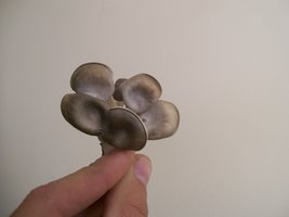 p0-viniciusc18.jpg