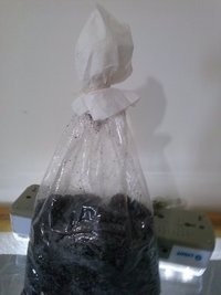 cdd-pos012.jpg