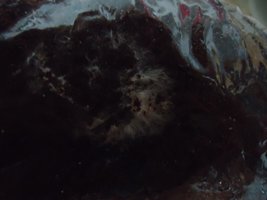 cdd-pos021.jpg