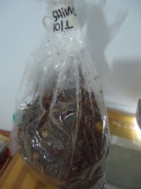 cdd-pos044.jpg