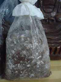 cdd-pos057.jpg