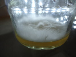 cdd-pos078.jpg
