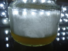cdd-pos080.jpg
