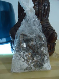 cdd-pos087.jpg
