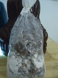 cdd-pos090.jpg