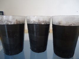 cdd-pos103.jpg