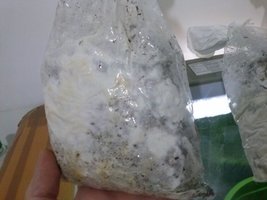cdd-pos107.jpg