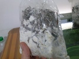 cdd-pos108.jpg