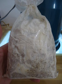 cdd-pos137.jpg