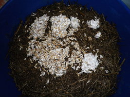 cosmik-tbht-cr-mr11.jpg