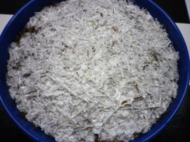 cosmik-tbht-cr-mr21.jpg