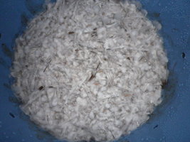 cosmik-mex-tap-comb-mdk11.jpg