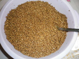 cosmik-gt02.jpg