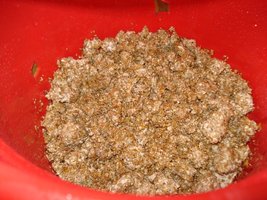 lupelius_mex-tapalpa04.jpg