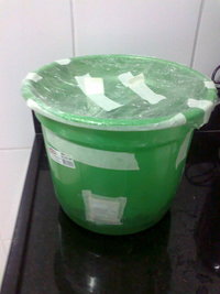 lupelius_mex-tapalpa30.jpg