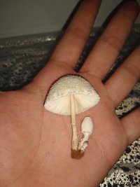 IMG_20191226_064053340.jpg