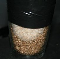 tupy-burma04.jpg