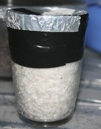 tupy-burma05.jpg
