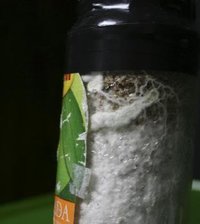 tupy-burma09.jpg