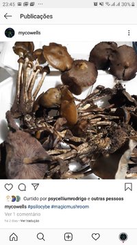 Screenshot_20191223-234509_Instagram.jpg
