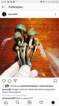 Screenshot_20191223-234518_Instagram.jpg