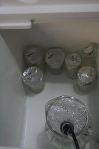 tupy-xapuri20.jpg
