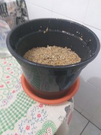 20191228_191516.jpg