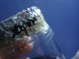 tupy-xapuryII01.jpg
