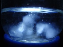 tupy-xapuryII04.jpg