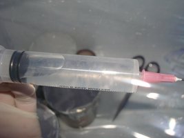tupy-xapuryII08.jpg
