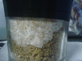 tupy-xapuryII09.jpg