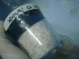 tupy-xapuryII15.jpg