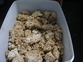 tupy-xapuryII32.jpg