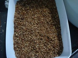 tupy-xapuryII38.jpg