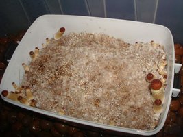 tupy-xapuryII45.jpg