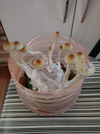 20191226_085033.jpg